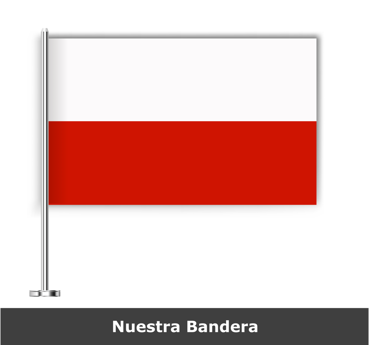 Bandera UAECOB