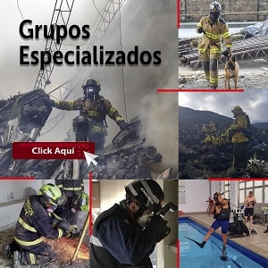 Ir a Grupos Especializados