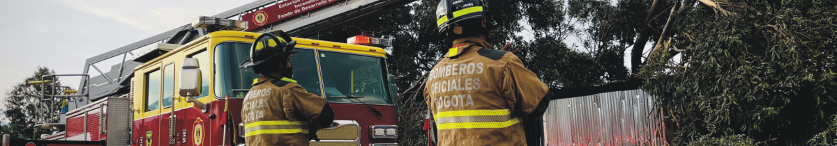 Bomberos al lado derecho del camión de bomberos revisando un corte de arbol