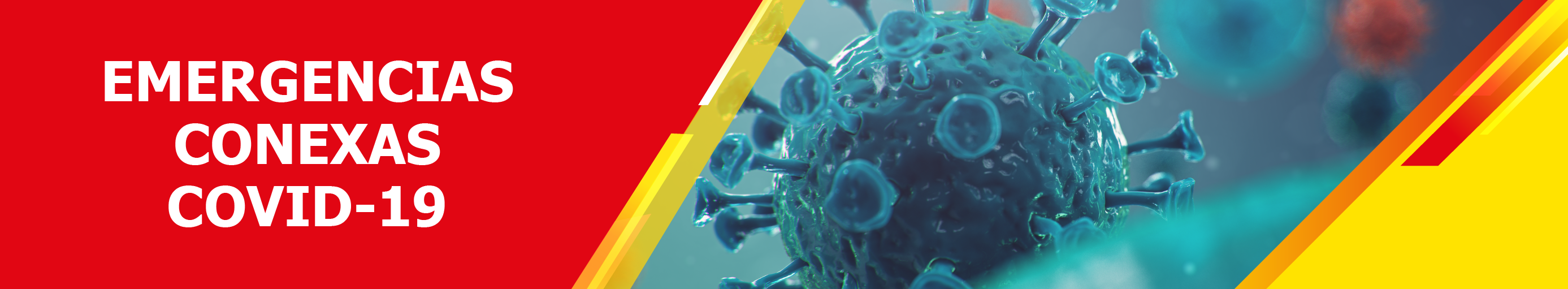 Prevención del Riesgo 