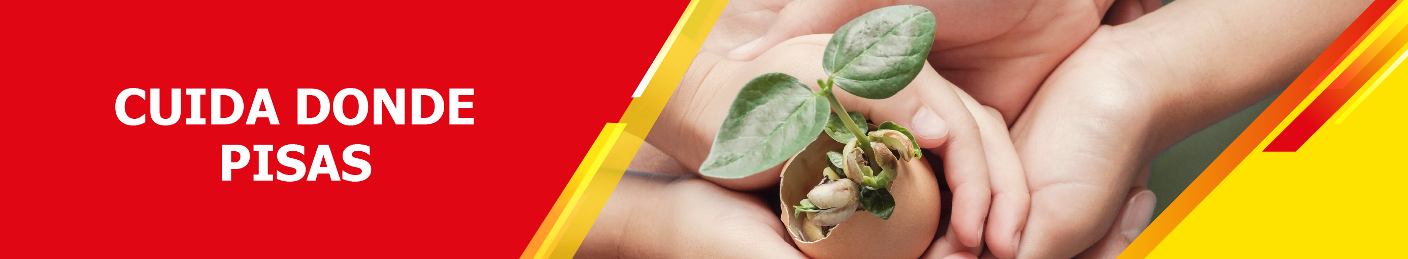 Cuidado donde pisas