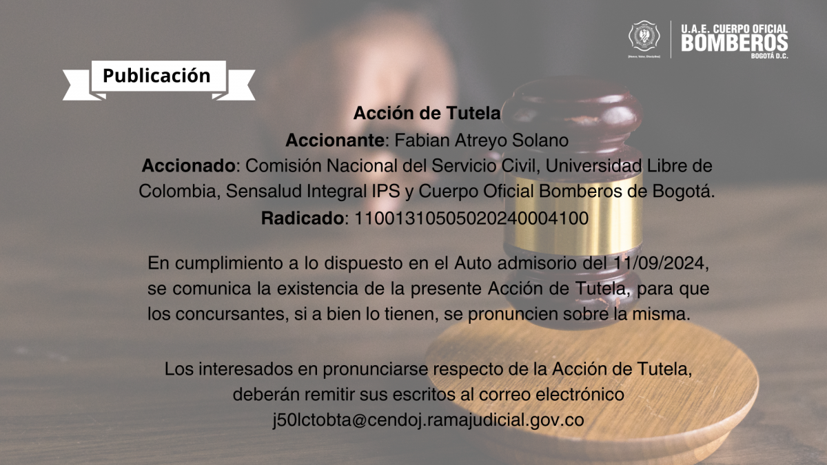 Brown Black Modern Lawyer Presentation_1.png