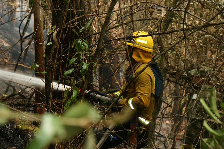 Bomberos Bogotá