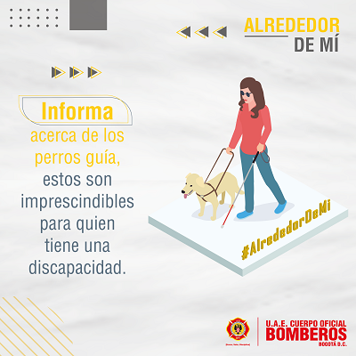 Informa acerca de los perros guía