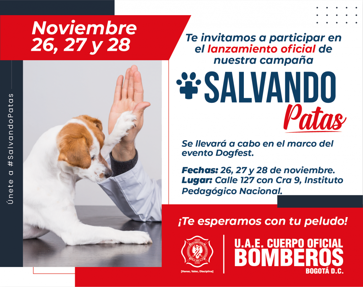 Invitación al lanzamiento de Salvando patas del 26 al 28 de noviembre