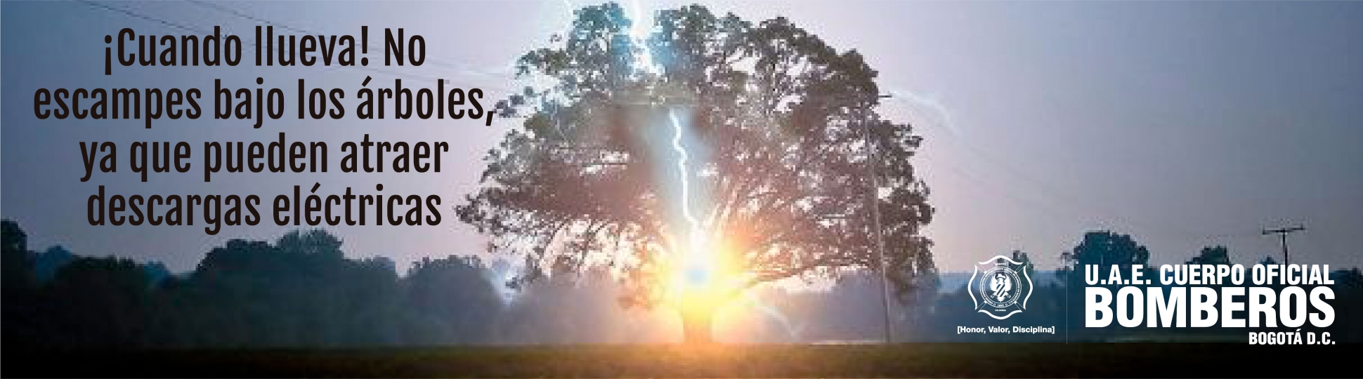 ¡Cuando llueva! No escampes bajo los árboles, ya que pueden atraer descargas eléctricas
