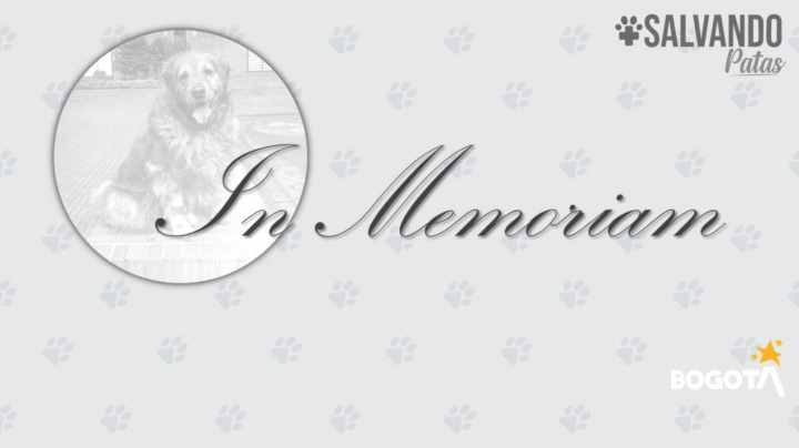 Ya tienes tu sticker variante