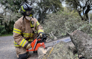 Bombero con motosierra cortando un árbol