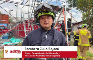 Llegó la 1era emisión del año de nuestro noticiero #BomberosHoy