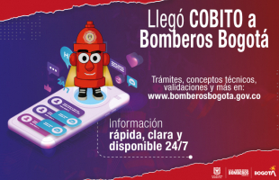 Nuevo Chatbot Cobito
