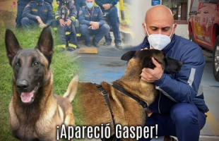 Apareció Gasper 