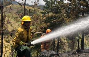 Incendios forestales, ¿Cómo prevenirlos?