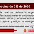 Resolución 313 de 2020