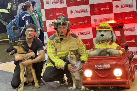 Segundo día de Expopet