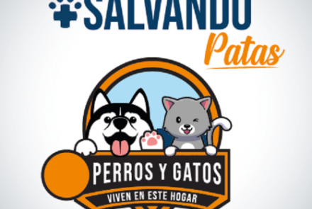 se muestra un perro y un gato saludando 