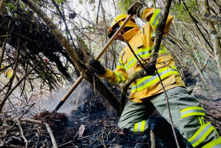 Bombero extinguiendo un incendio forestal