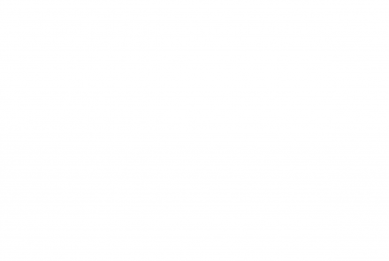 Comunicado de Prensa 