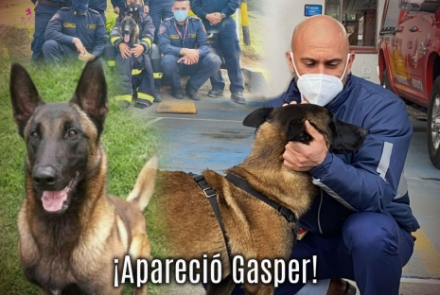 Apareció Gasper 