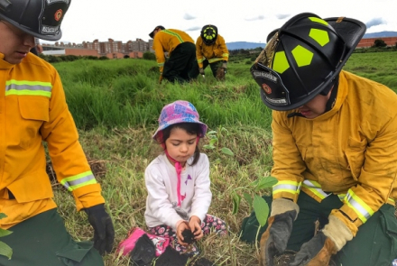 ¿Quieres ayudar a proteger el medio ambiente? Acá te enseñamos cómo