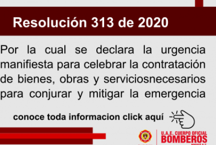 Resolución 313 de 2020