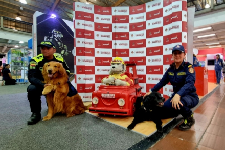 Salvando Patas en Expopet